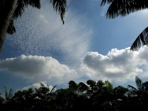Breathwork